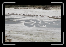 Today's Random Image