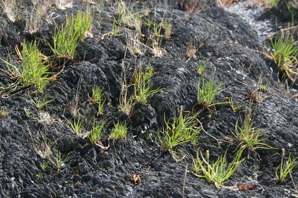 You have reached the last slide