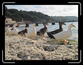 IMG_0768 * 4000 x 3000 * (3.16MB)