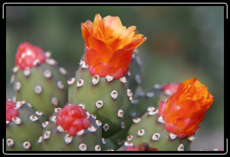 You have reached the last slide