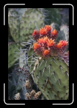 IMG_4284 * 1152 x 1728 * (1.06MB)