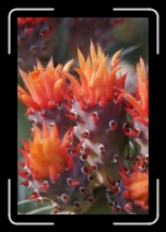 IMG_4301 * 1152 x 1728 * (945KB)