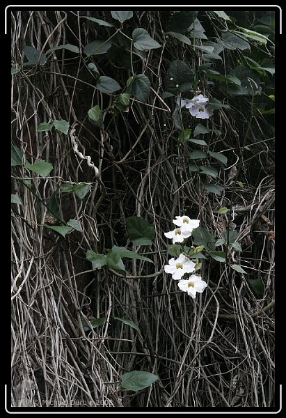 You have reached the last slide