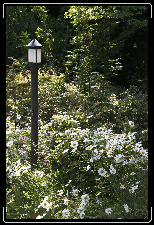 You have reached the last slide