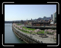 DSCN5984 * 2048 x 1536 * (1.07MB)