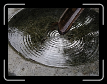 DSCN6450 * 2048 x 1536 * (646KB)