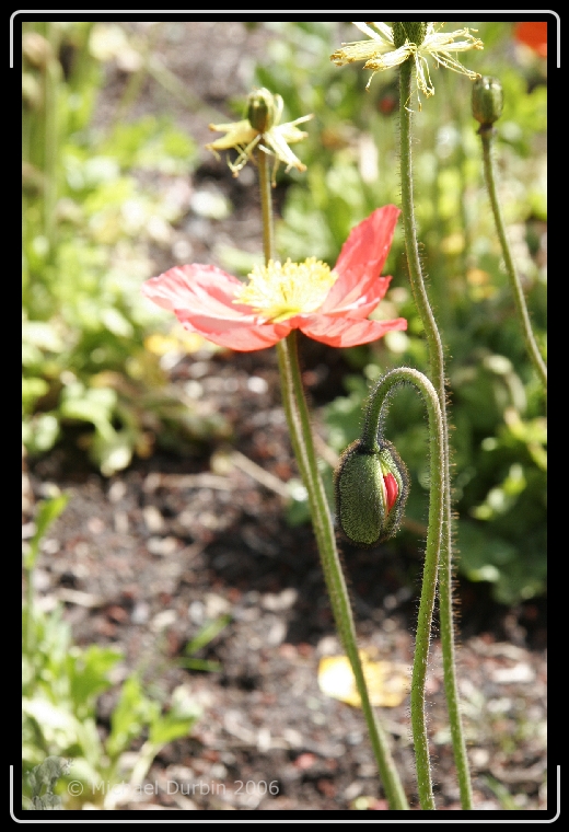 You have reached the last slide