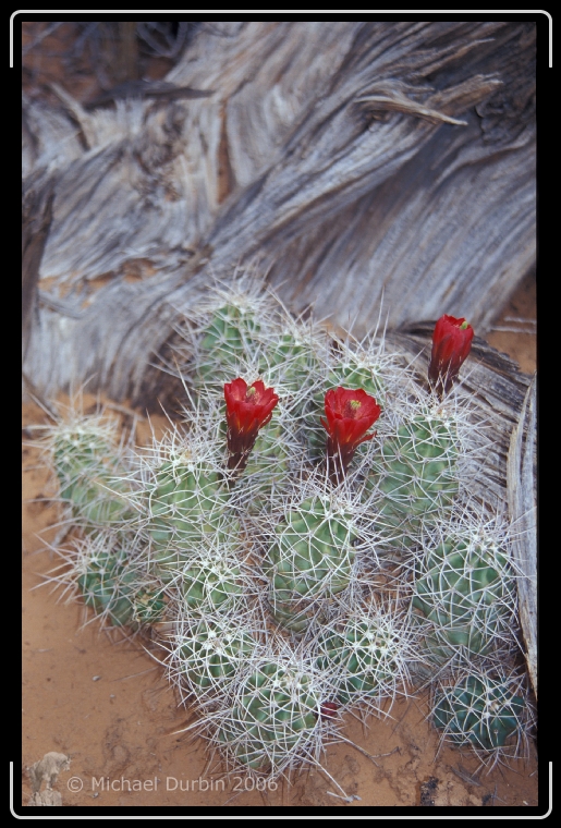 You have reached the last slide