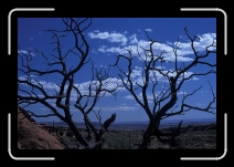 03_33 * 2677 x 1770 * (987KB)