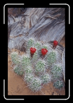 05_14 * 1768 x 2677 * (1.51MB)