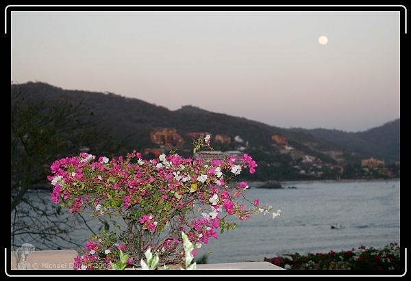 You have reached the last slide